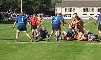 National League rugby