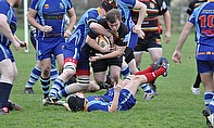 Dave Gordon, Tarleton Rugby