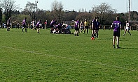 Action from Leicester Lions' 47-10 win over Stockport