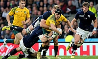 Matt Giteau celebrated his 100th cap for Australia with a man of the match performance on Sunday