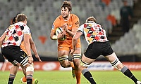 Cheetahs and Southern Kings in action