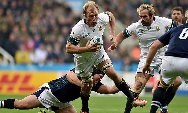 Scotland hopes remain in the balance after defeat at St James' Park