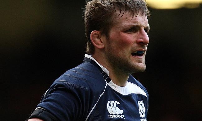 John Barclay is delighted to have been given a Scotland recall after missing out on the World Cup