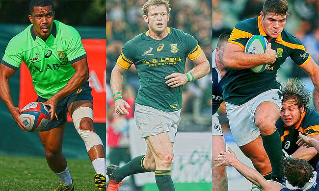 Some Springbok highlights over recent times