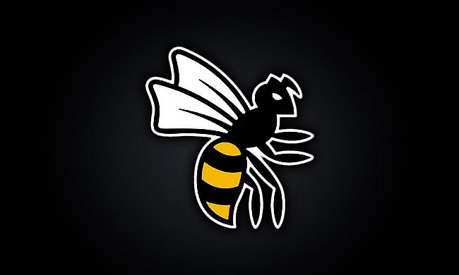 Wasps will take their place in the Championship next season