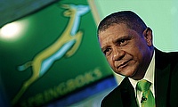 Allister Coetzee has been appointed the new Springboks head coach