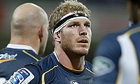 David Pocock is set to feature in his 100th appearance in Super Rugby