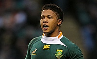 Elton Jantjies has played 34 Tests for South Africa