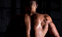 Exercises for Lower Back
