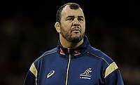 Michael Cheika previously coached Australia between 2014 and 2019