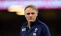 Australia head coach Joe Schmidt