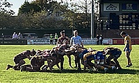 Watch Round 7 Highlights between Sedgley Park and Plymouth Albion