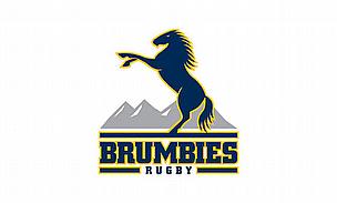 Brumbies