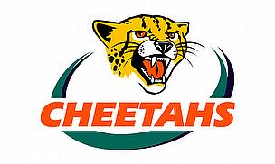 Cheetahs