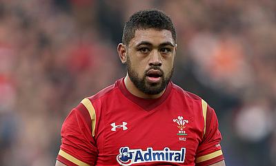 Cardiff coach Corniel van Zyl believes Taulupe Faletau will want to push for another Wales call-up and a fourth Rugby World Cup.