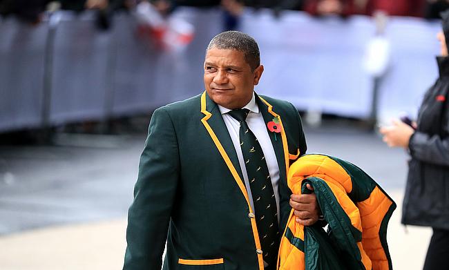 Jake White was not happy with the selections made by Allister Coetzee (pictured)