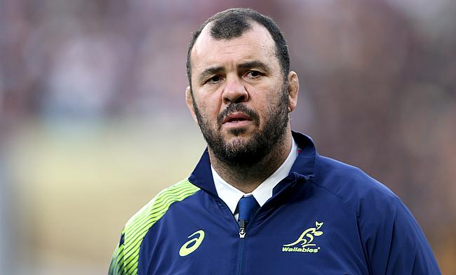 Michael Cheika previously coached Australia between 2014 and 2019