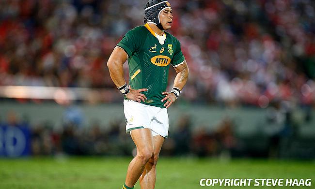 Cheslin Kolbe missed the last three games for South Africa