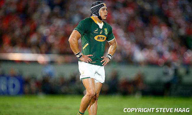 Cheslin Kolbe will join Suntory Sungoliath at end of World Cup