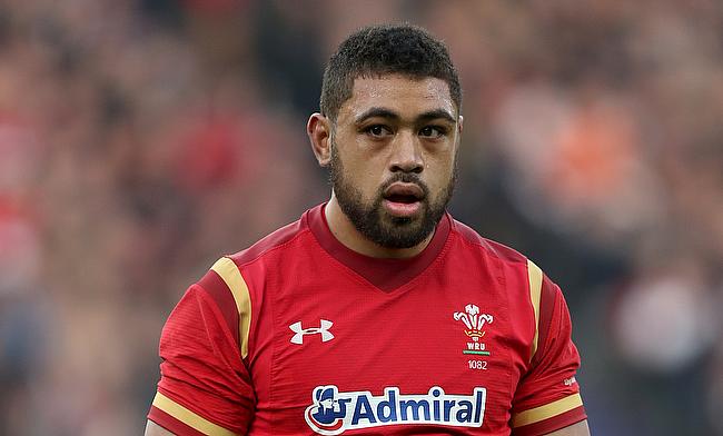 Cardiff coach Corniel van Zyl believes Taulupe Faletau will want to push for another Wales call-up and a fourth Rugby World Cup.